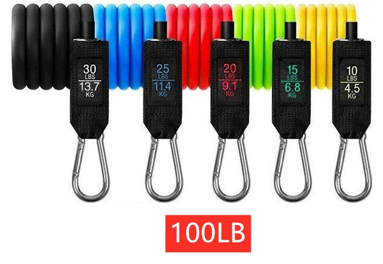 Color-coded resistance bands labeled 10–30 lbs with metal carabiners